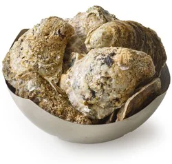 Live In-Shell Oysters
