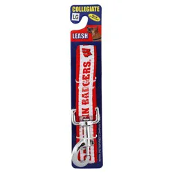 University of Wisconsin 6 ft Dog Leash, Large