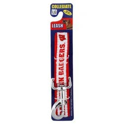 University of Wisconsin 6 ft Dog Leash, Large