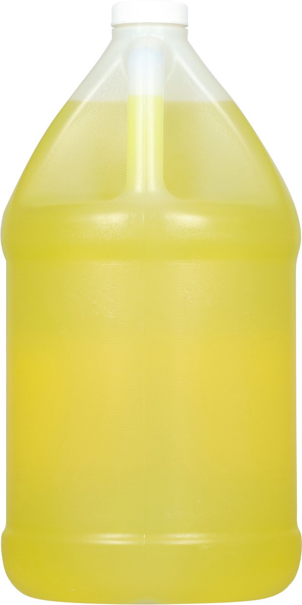 slide 10 of 13, Best Maid Dill Juice - 1 gal, 1 gal