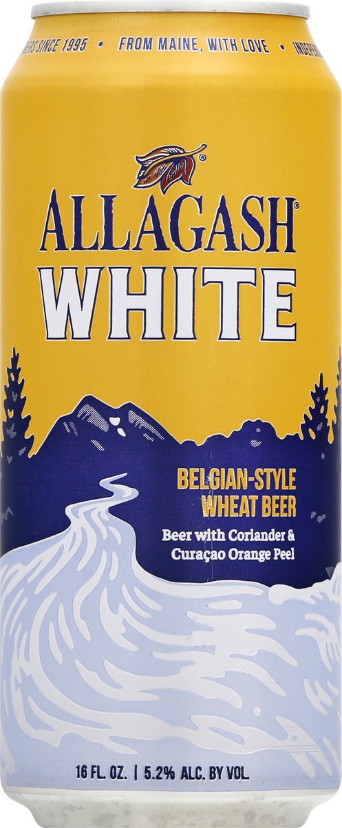 slide 2 of 9, Allagash White, 64 fl oz