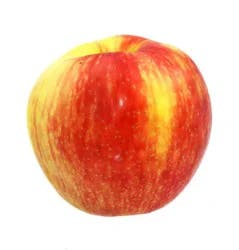 Honeycrisp Apple