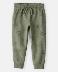 Carter's Toddler Boy Dinosaur French Terry Jogger - Green 2T