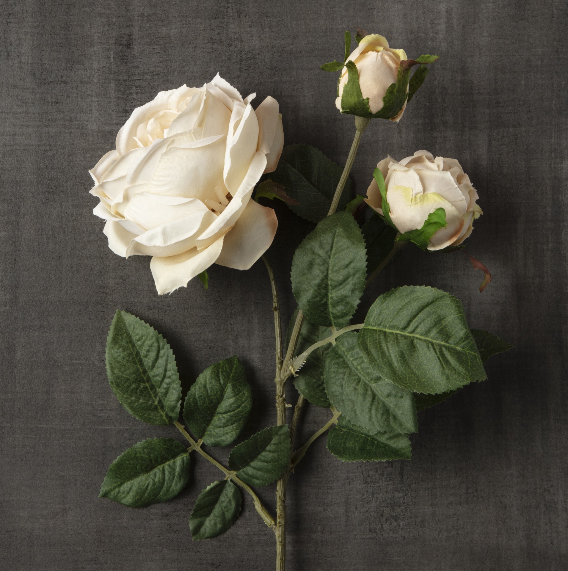 slide 2 of 3, Toast English Rose Stem By Ashland, 26 in