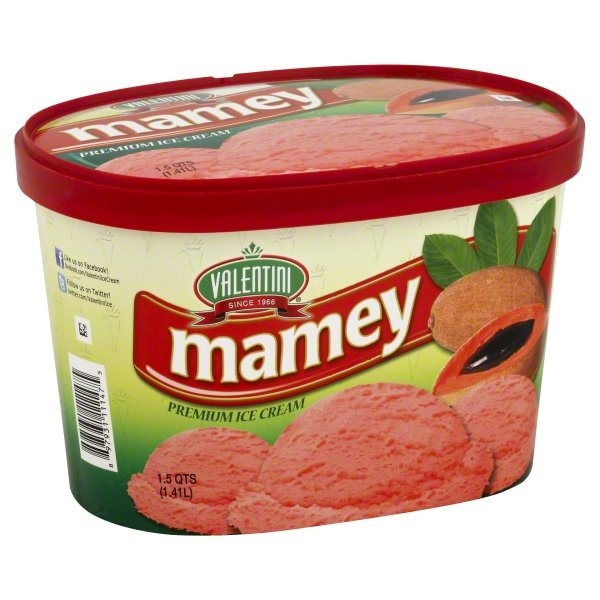 Valentini Mamey Ice Cream 1.5 qt | Shipt