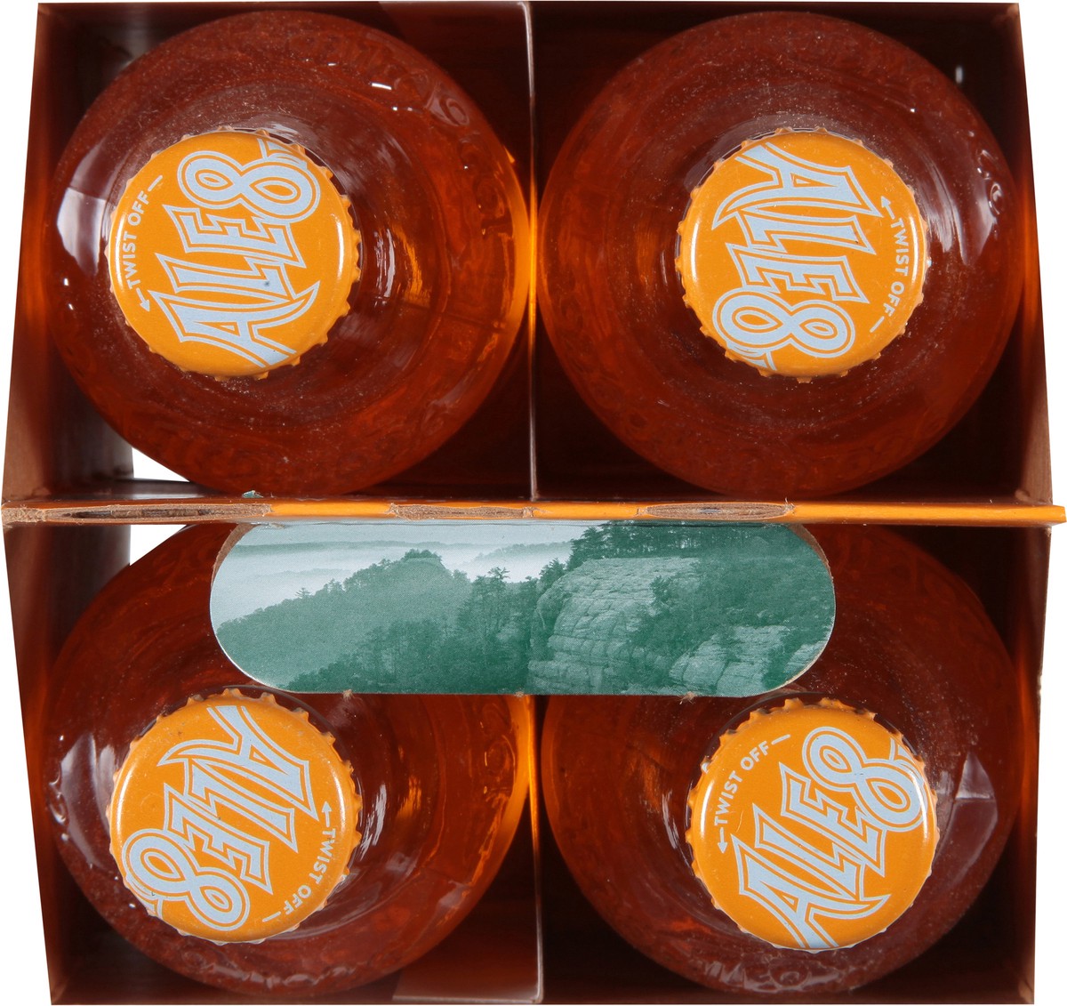 slide 11 of 14, Ale-One Seasonal Flavor Orange Cream Soft Drink - 4 ct, 4 ct