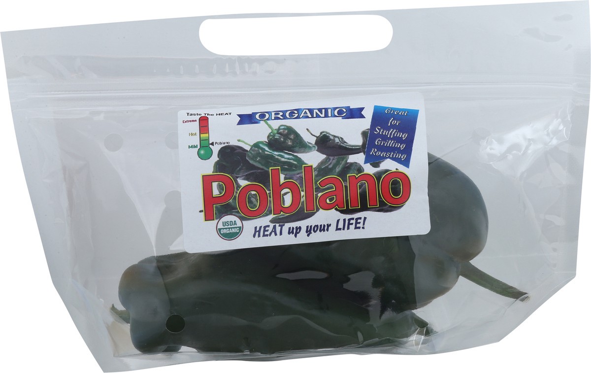 slide 5 of 11, Interstate Produce Organic Poblano 5 oz, 5 oz