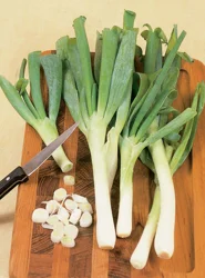 Leeks (Seed)