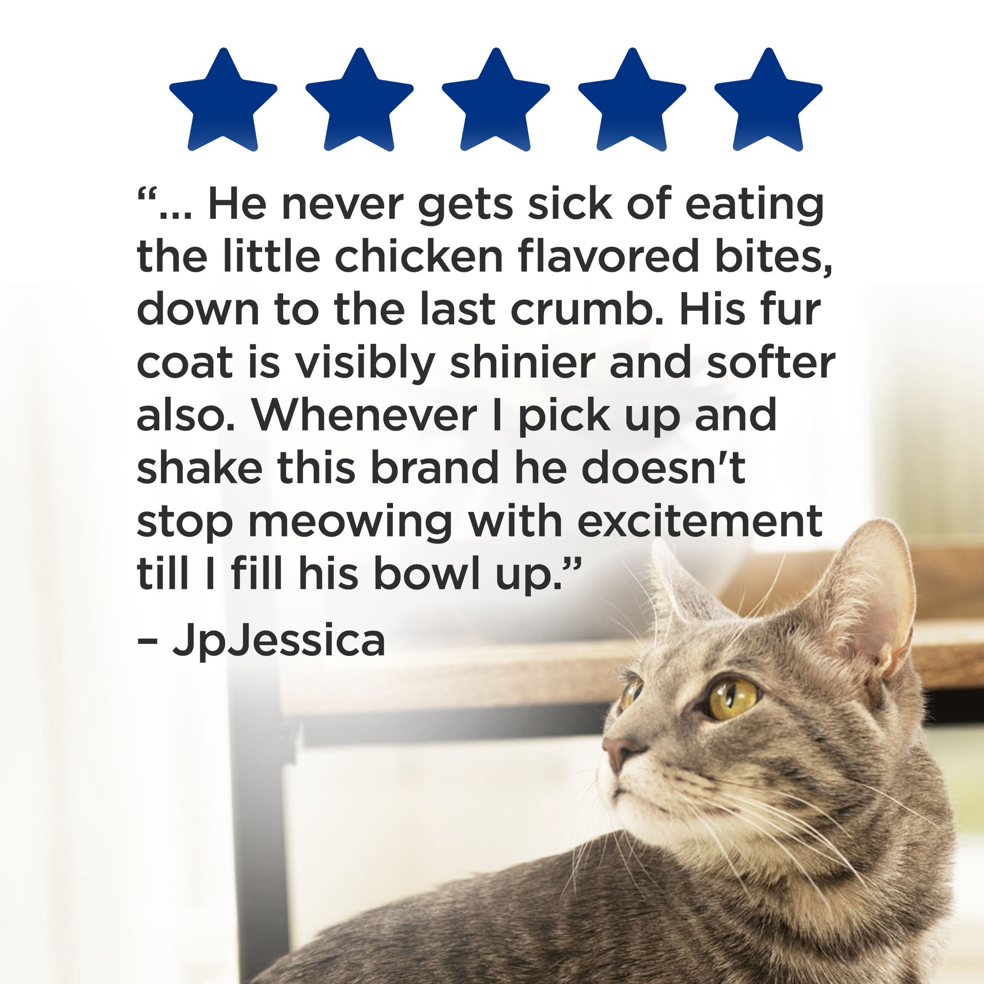 slide 2 of 9, Cat Chow Purina Cat Chow Complete High Protein Dry Cat Food With Real Chicken - 20 lb. Bag, 20 lb