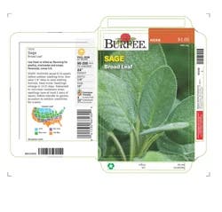Burpee Herb Sage Seeds