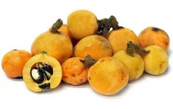 Fresh Loquats