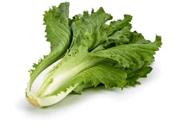 Produce Cabbage 1 ea