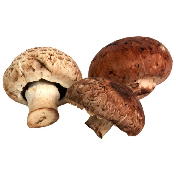 slide 1 of 1, Fresh Baby Bella Mushrooms, 1 ct