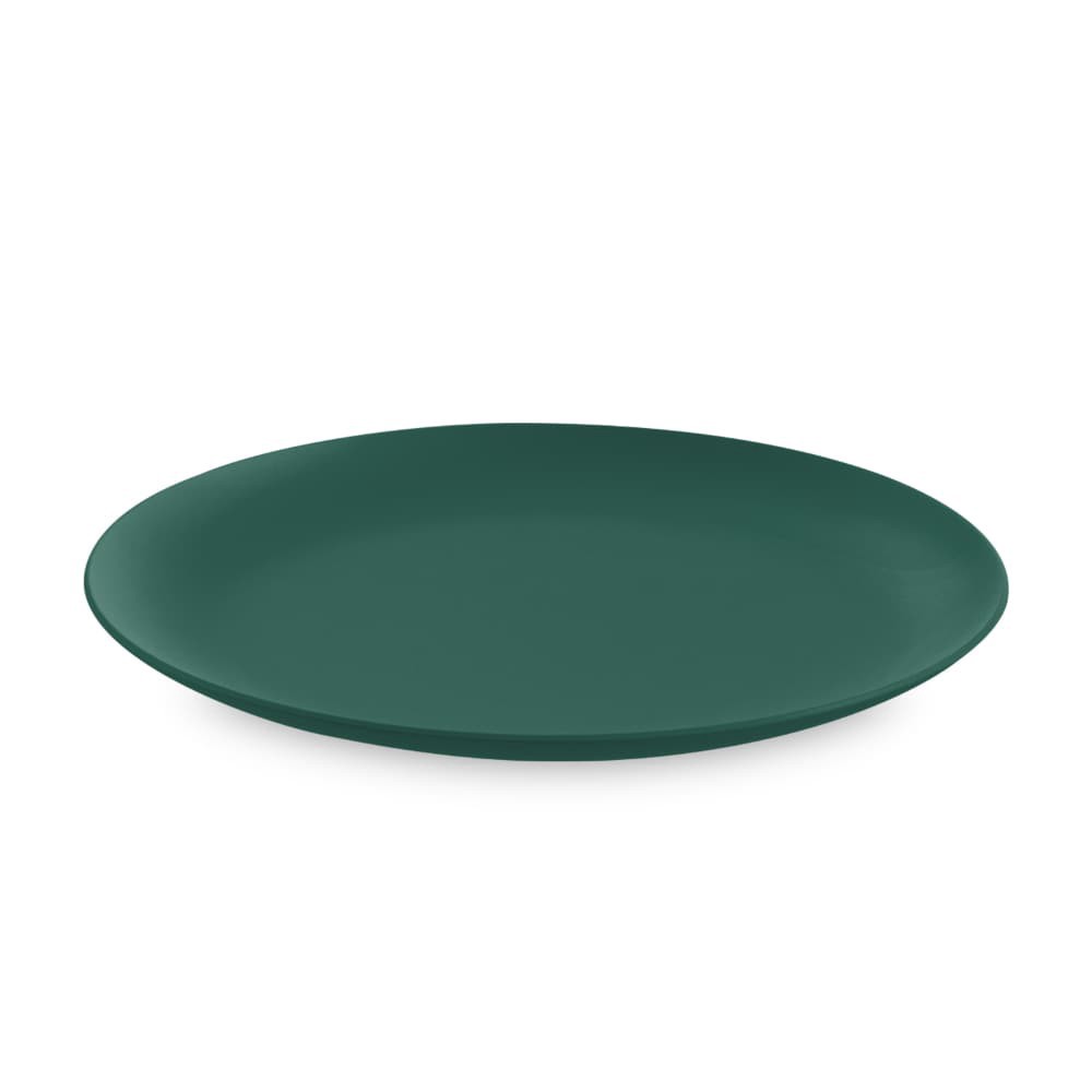 slide 1 of 1, EDL PP Serve Platter - Green, 1 ct