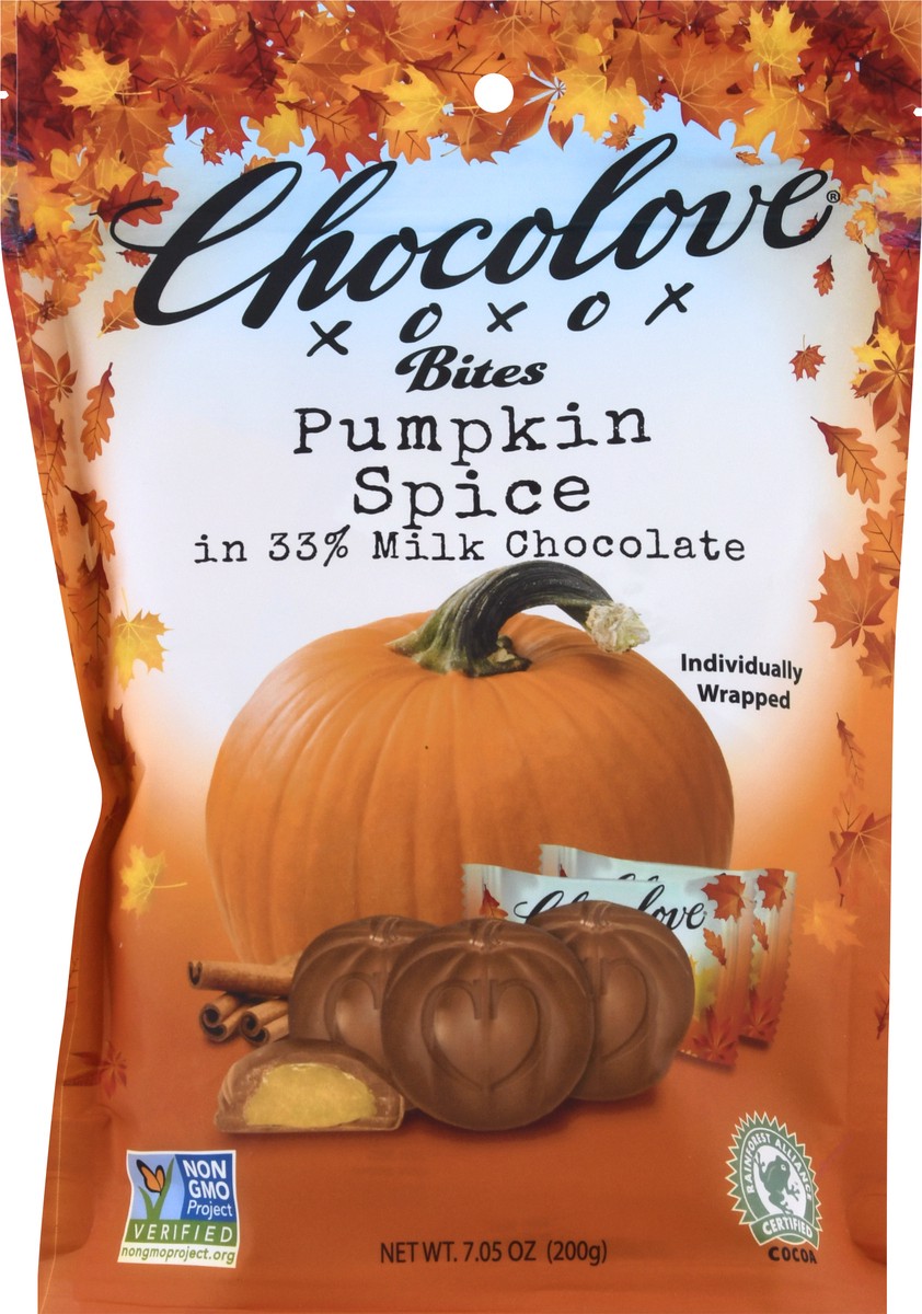 slide 8 of 9, Chocolove Pumpkin Spice Bites, 7.05 oz