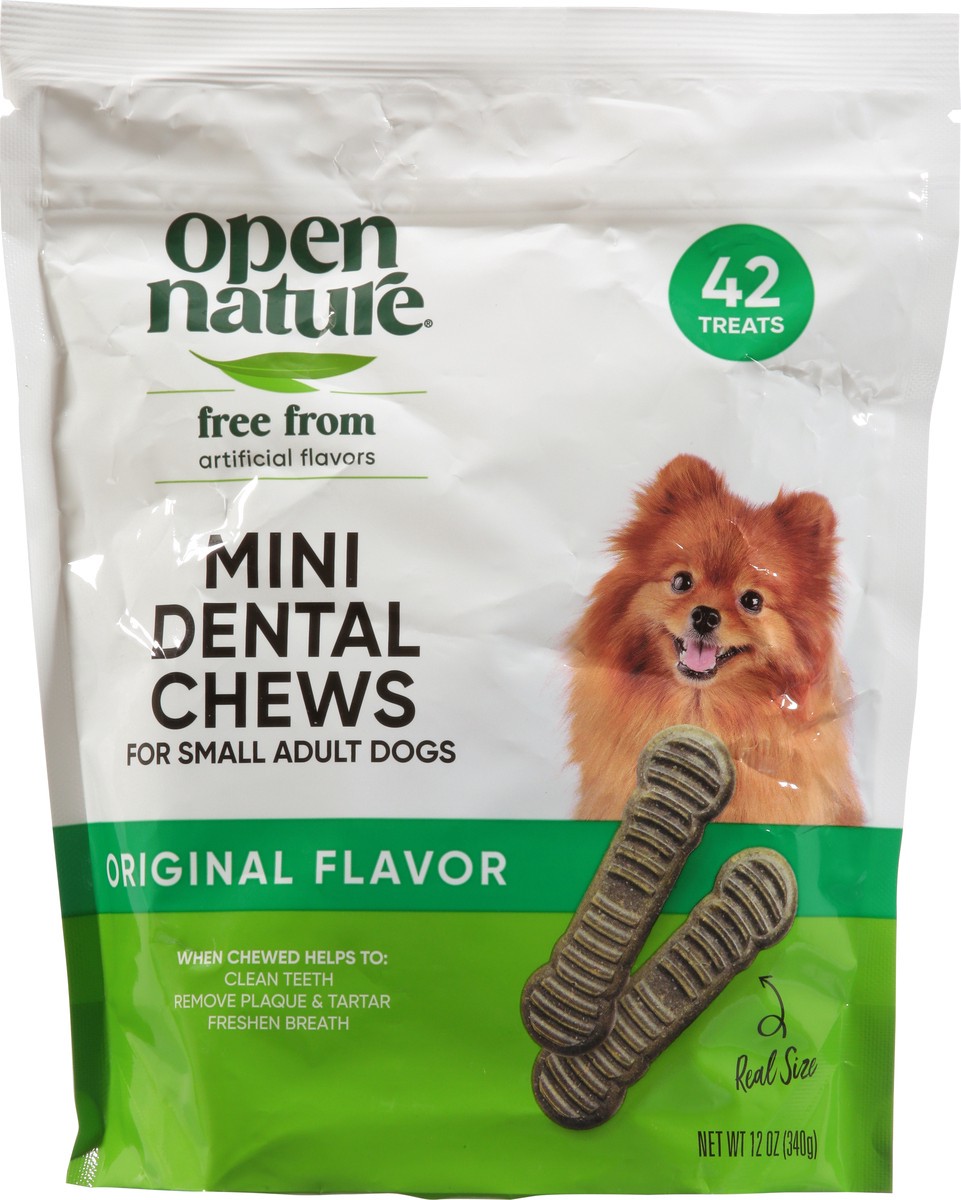 slide 6 of 16, Open Nature Mini Dog Dental Chews 42 Ct 12 Oz - 12 OZ, 12 oz
