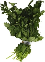 Fresh Organic Cilantro 1 ea