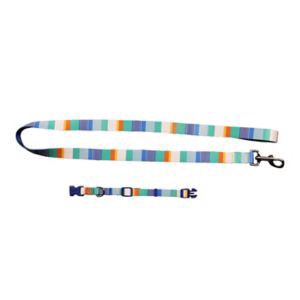 slide 1 of 1, CELEBRATIONS Summer Collar & Leash Asst S,M,L, 1 ct