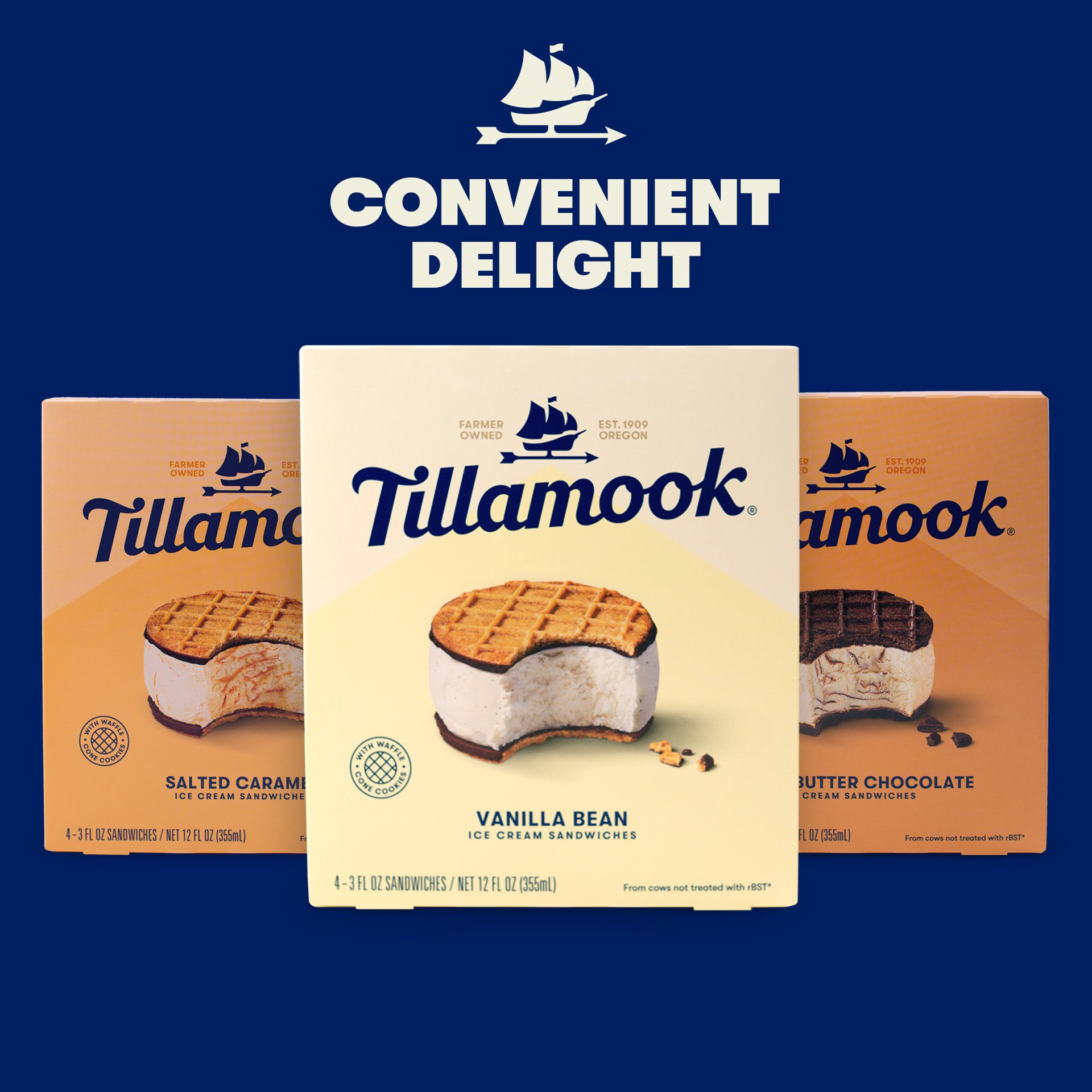 slide 5 of 6, Tillamook Peanut Butter Chocolate Ice Cream Sandwich - 12oz/4ct, 4 ct; 12 oz