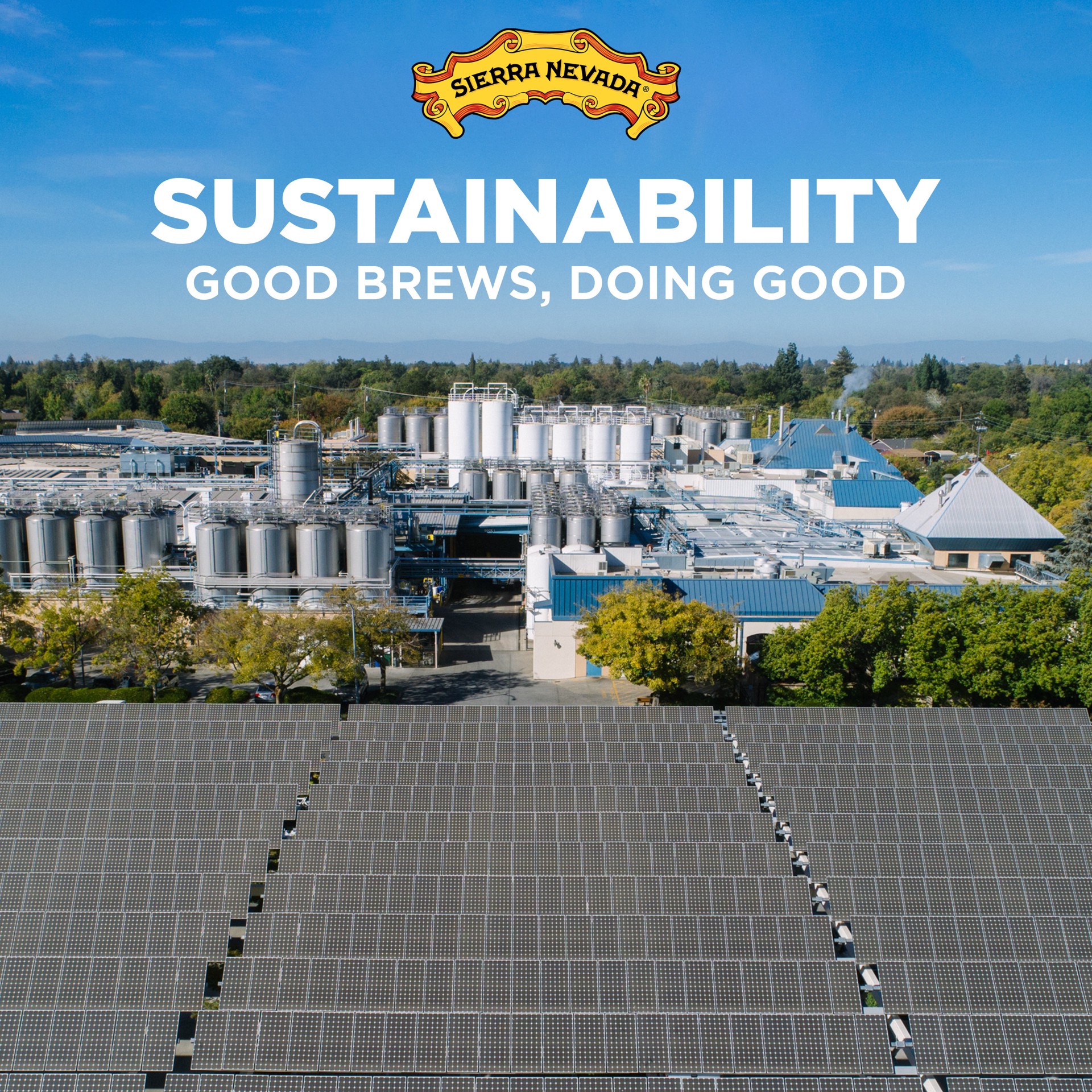 slide 5 of 7, Sierra Nevada Trail Pass Non-Alcoholic Hazy IPA Craft Beer 19.2oz Can, 19.2 fl oz