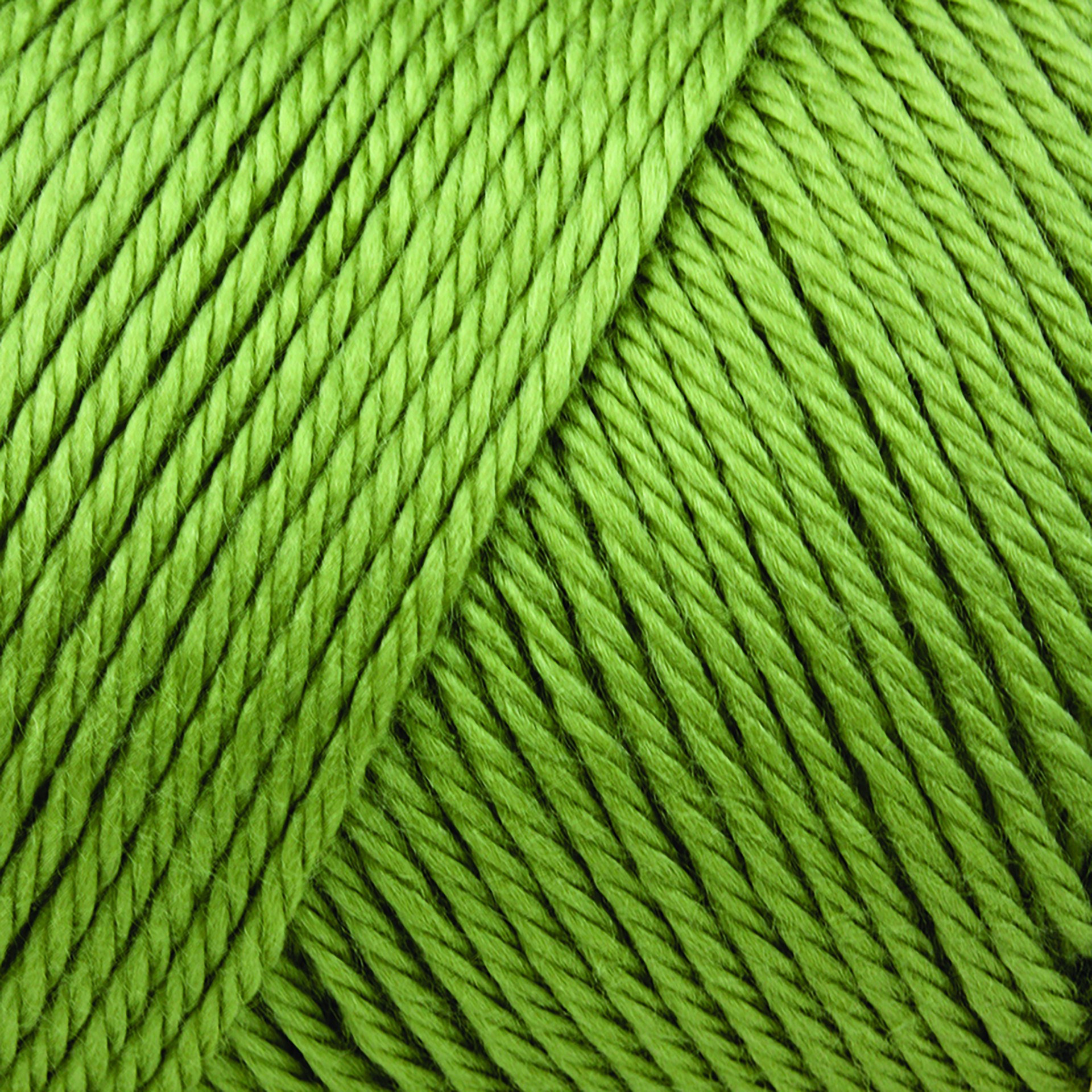 slide 2 of 2, Caron Simply Soft Solid Yarn, 315 yd