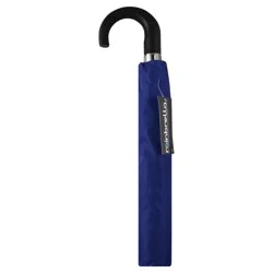 Rainbrella Umbrella 1 ea