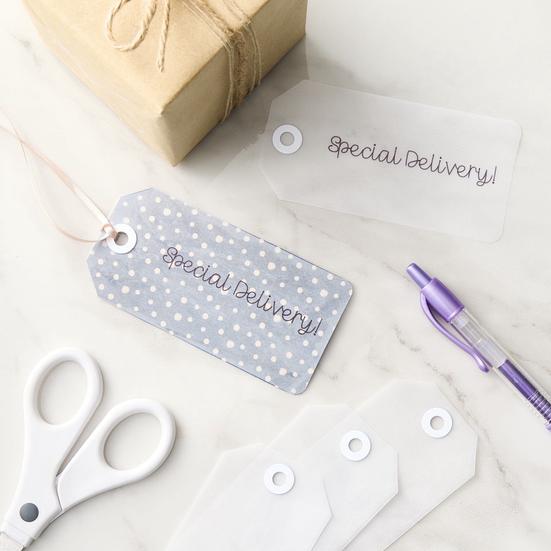 slide 2 of 4, 2.1" X 4.25" White Vellum Tags By Recollections, 20ct., 20 ct