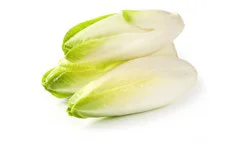 Belgian Endive, Each