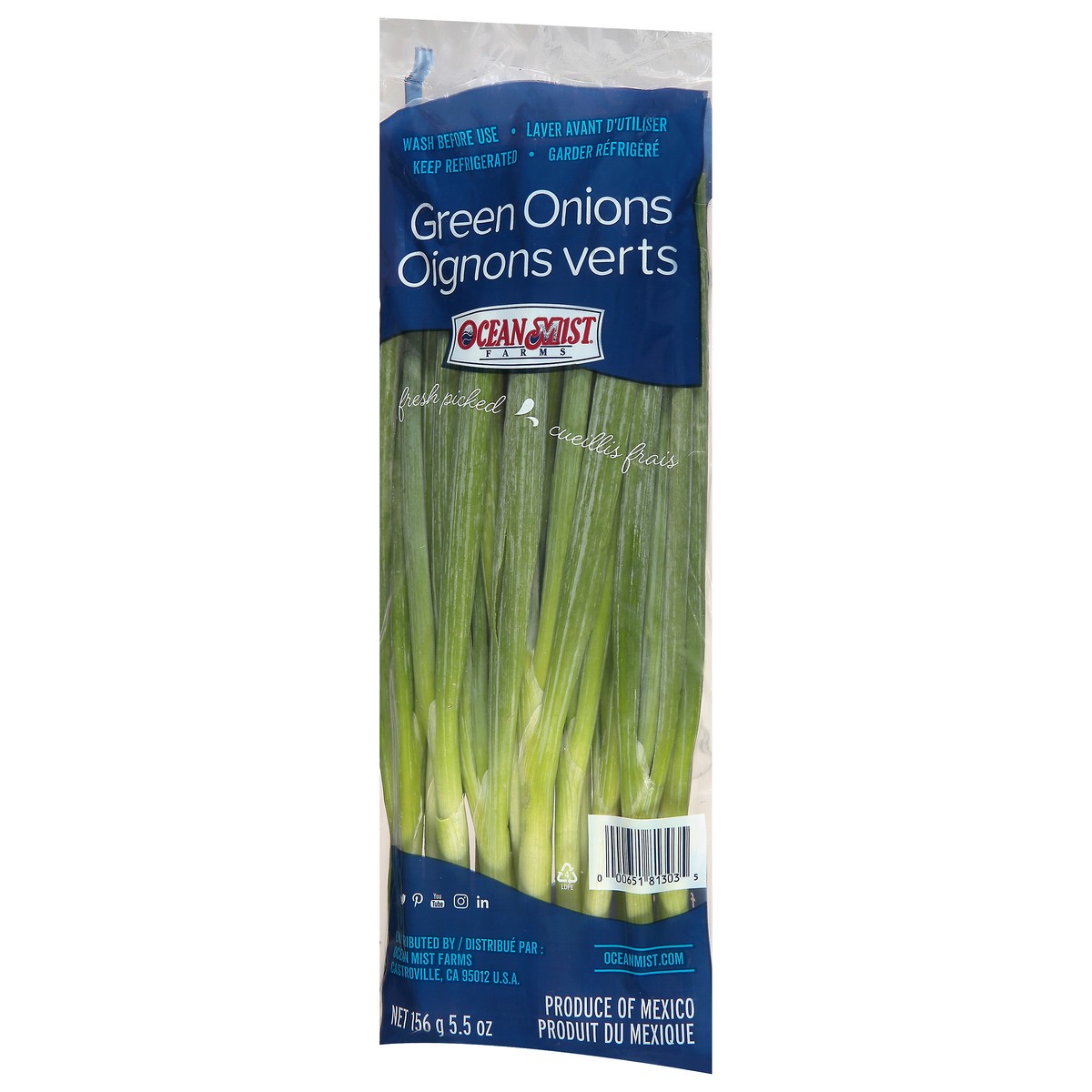 slide 2 of 8, Ocean Mist Farms Green Onions 5.5 oz, 5.5 oz