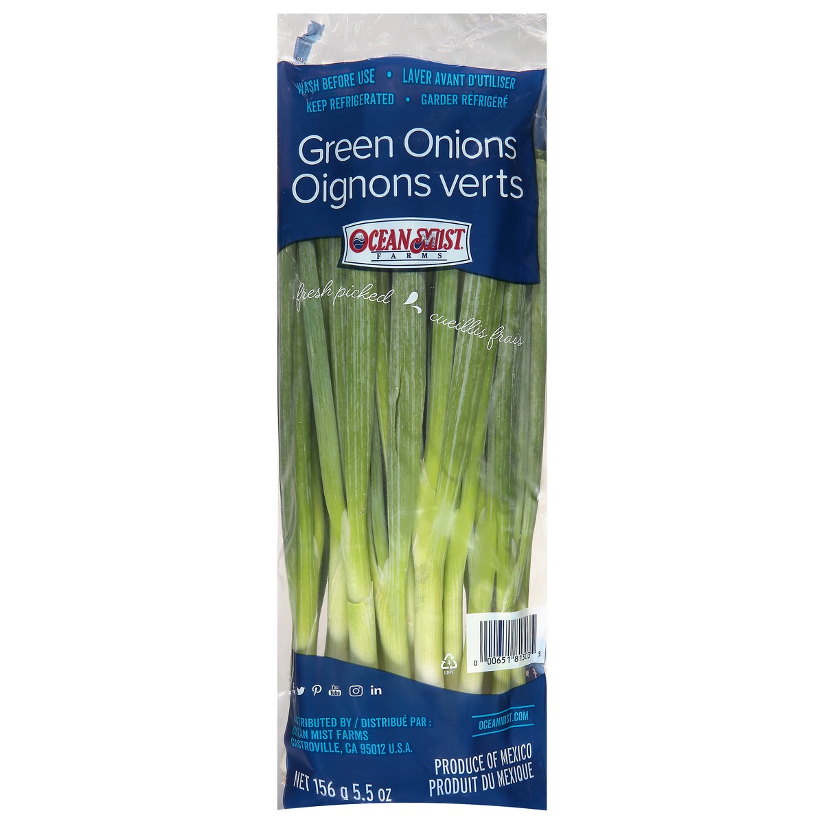 slide 1 of 8, Ocean Mist Farms Green Onions 5.5 oz, 5.5 oz