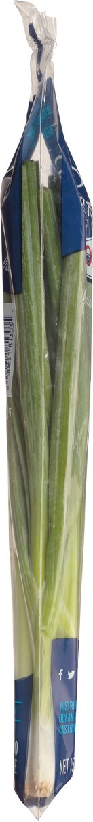 slide 4 of 8, Ocean Mist Farms Green Onions 5.5 oz, 5.5 oz