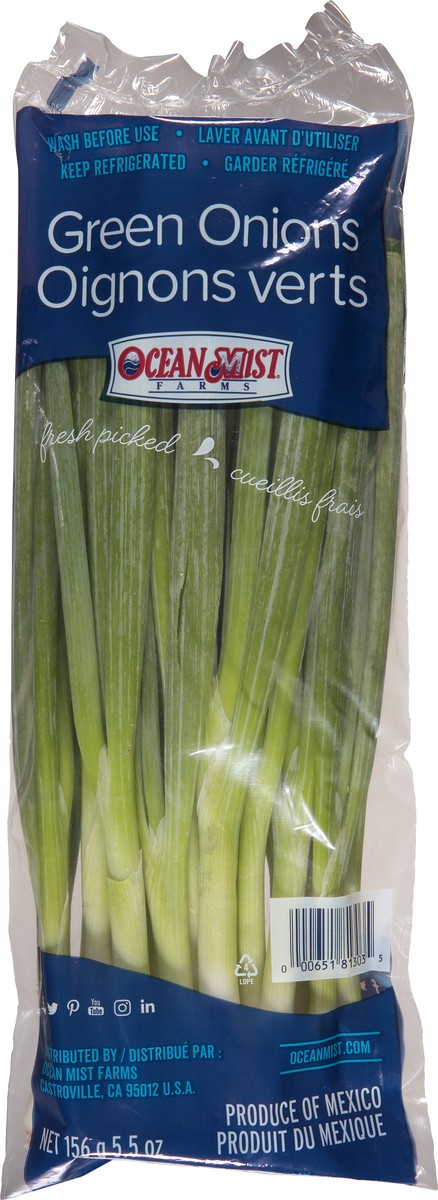 slide 7 of 8, Ocean Mist Farms Green Onions 5.5 oz, 5.5 oz