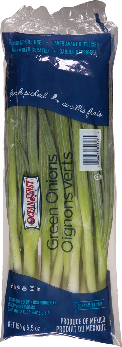 slide 3 of 8, Ocean Mist Farms Green Onions 5.5 oz, 5.5 oz