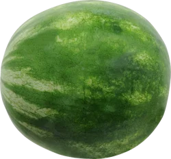 Watermelon Seedless Mini Og LB