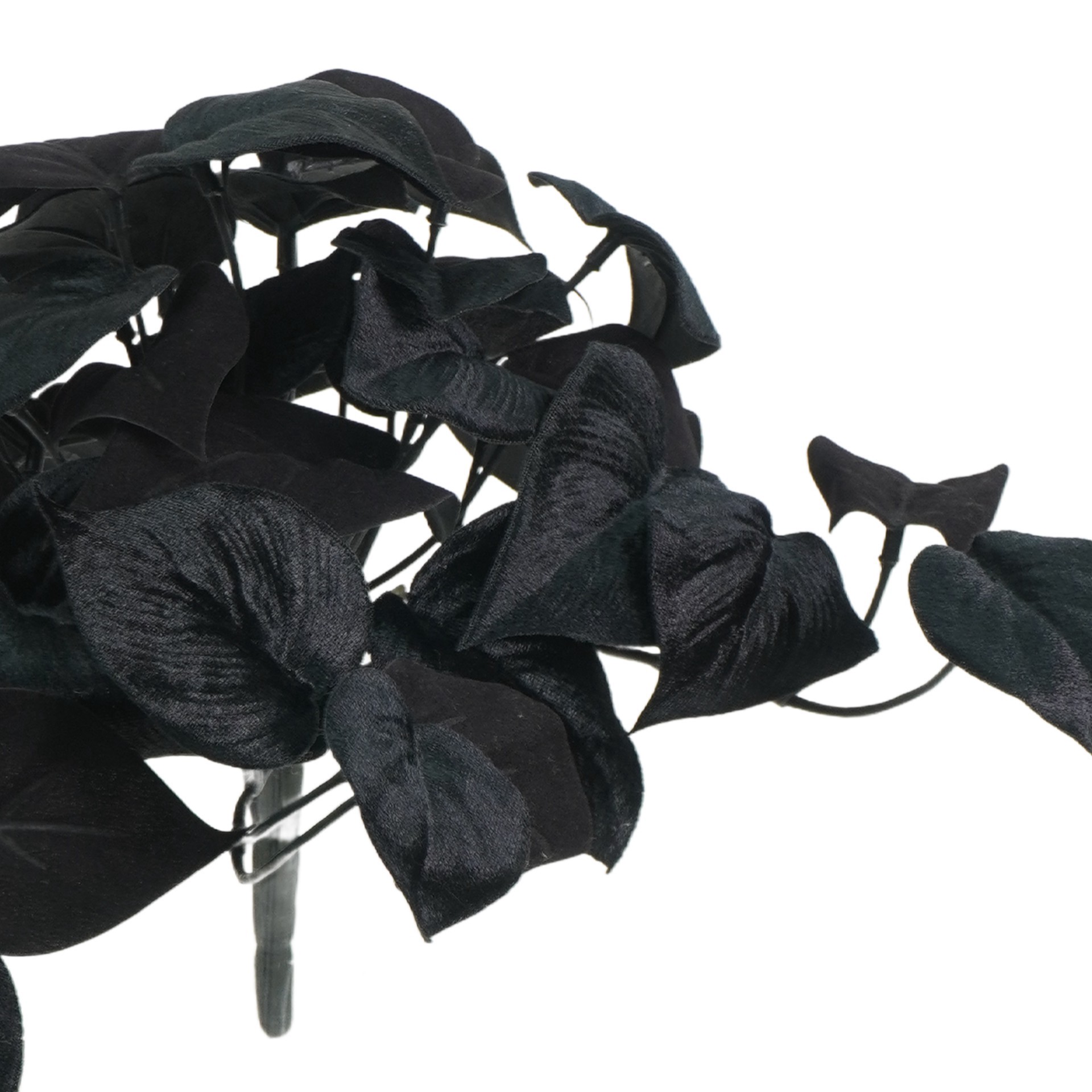 slide 2 of 4, 14" Black Philodendron Bush By Ashland, 14 in x 14 in x 9 in