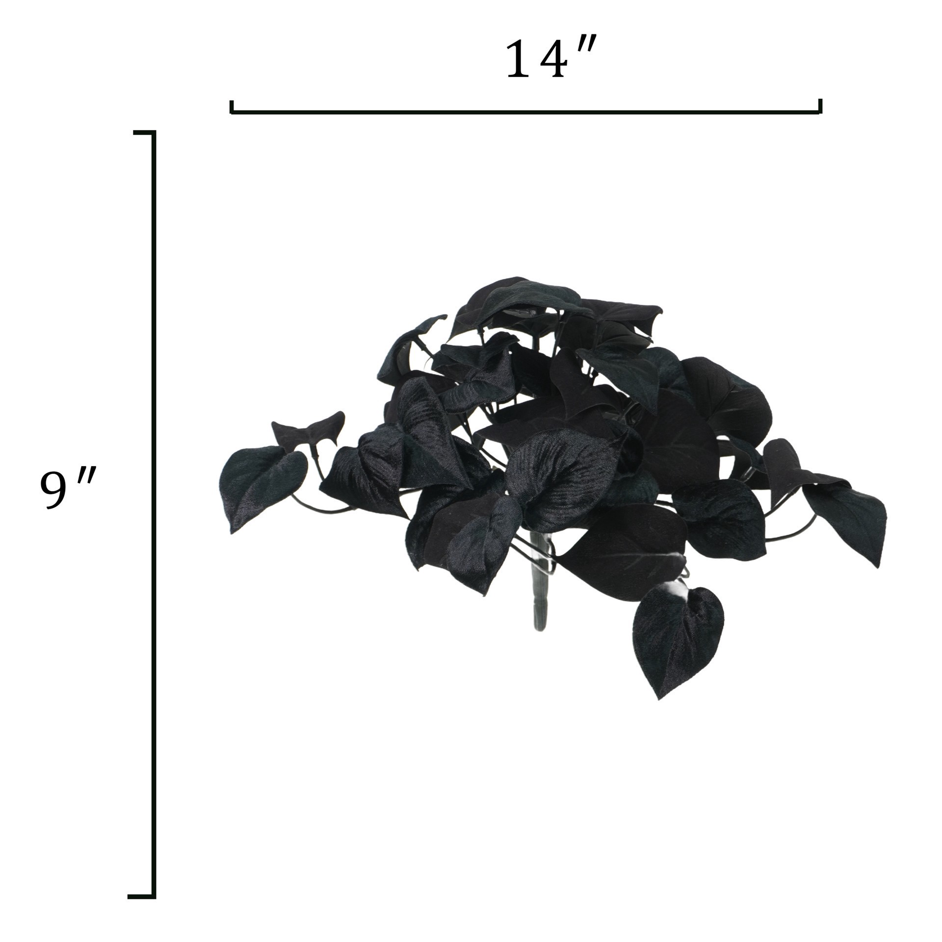 slide 4 of 4, 14" Black Philodendron Bush By Ashland, 14 in x 14 in x 9 in