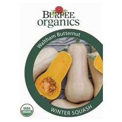Burpee Winter Squash, Watham Butternut