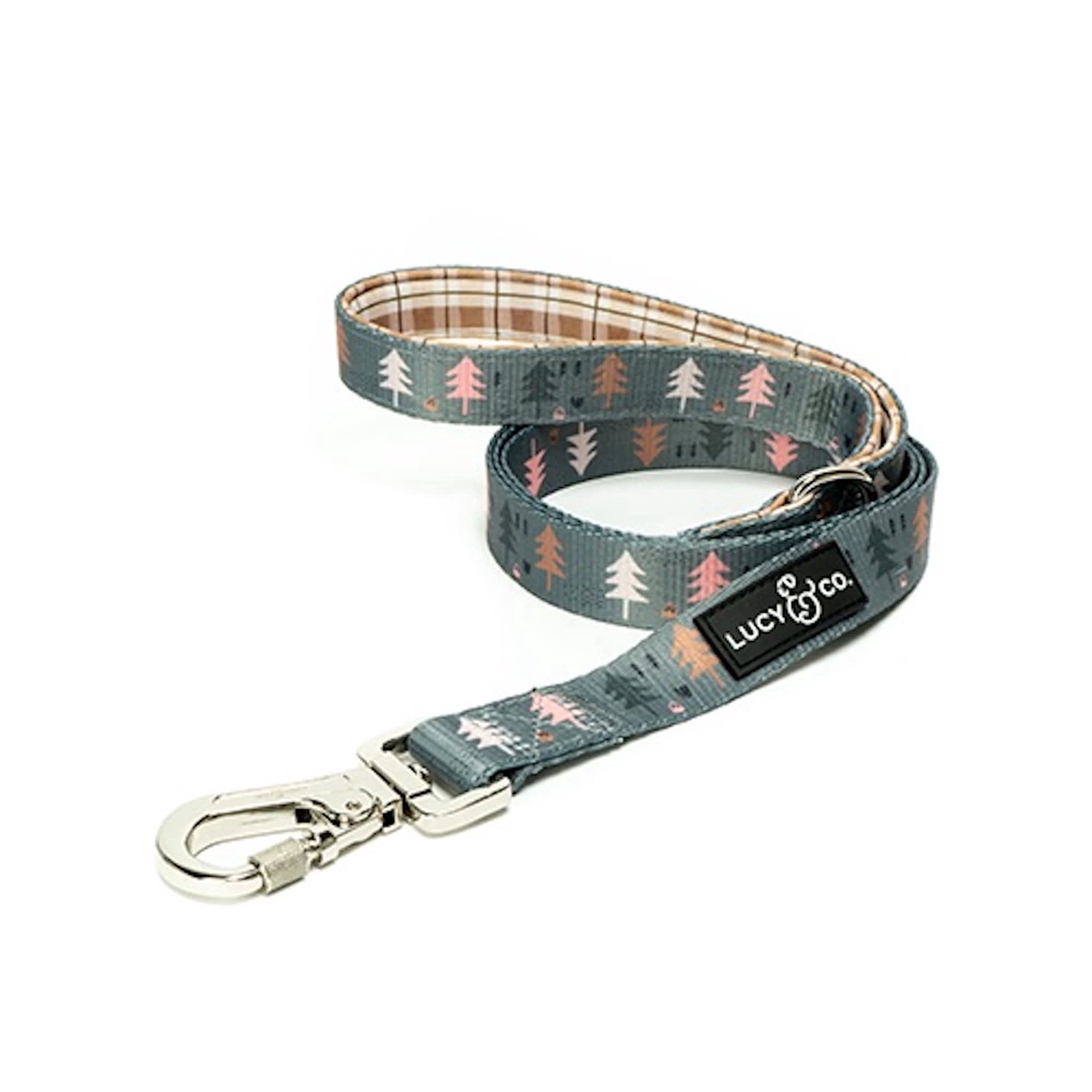 slide 1 of 1, Lucy & Co. Lucy & Co The Take a Hike Dog Leash, 9.72" L X 3.15" W, Large, 1 ct