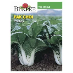 Burpee Asian Cabbage, Chinese Pak Choi, Pechay