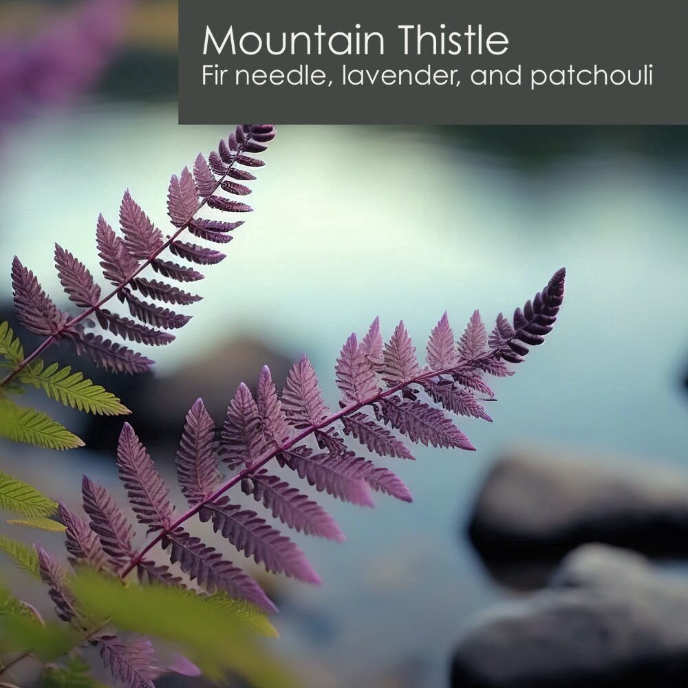 slide 3 of 3, Tuscany Candle Homme + Heritage Collection Soy Candle, Mountain Thistle, 15 oz