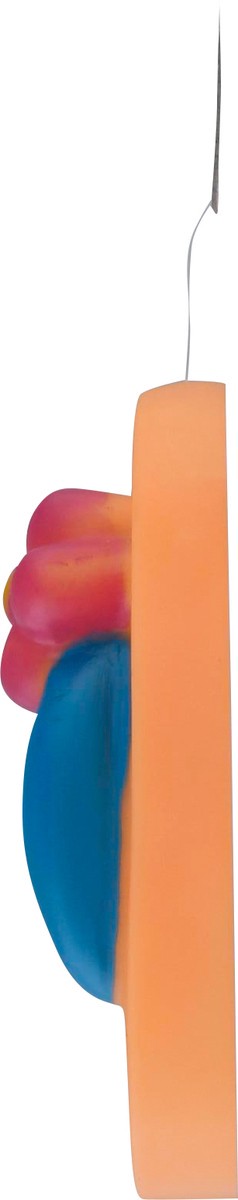 slide 6 of 9, BowWow Pals Squeaker Dog Toy 1 ea, 1 ct