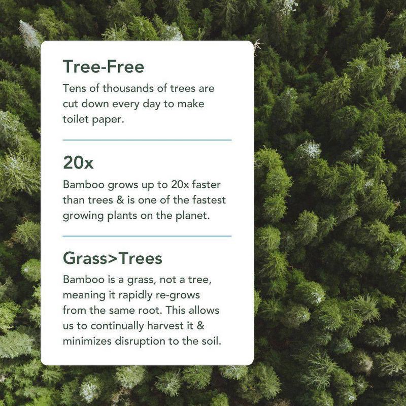 slide 7 of 8, Reel Paper Premium Bamboo Facial Tissue - 60ct, 60 ct