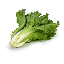Celery Cabbage Bunch