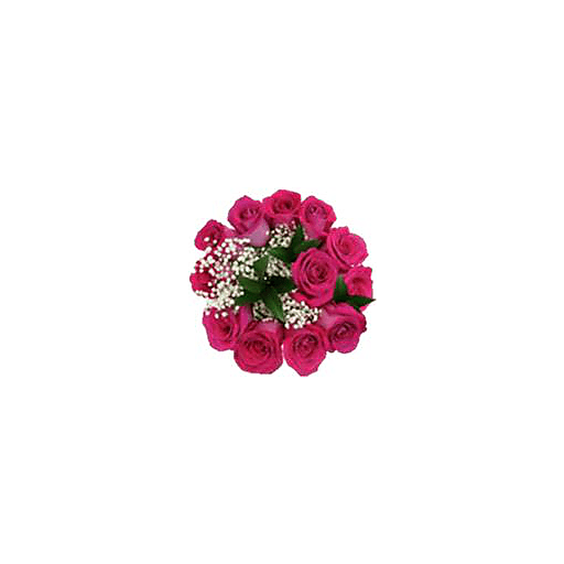 slide 1 of 1, The Floral Shoppe Dozen Red Rose Bouquet, 1 ct