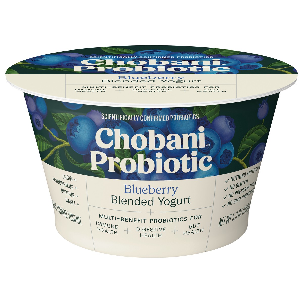 slide 5 of 12, Chobani Blueberry Probiotic Greek Yogurt, 5.3 oz