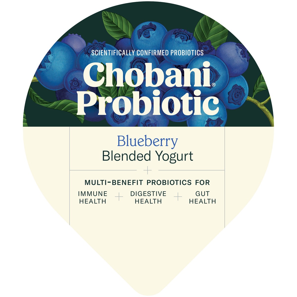 slide 3 of 12, Chobani Blueberry Probiotic Greek Yogurt, 5.3 oz