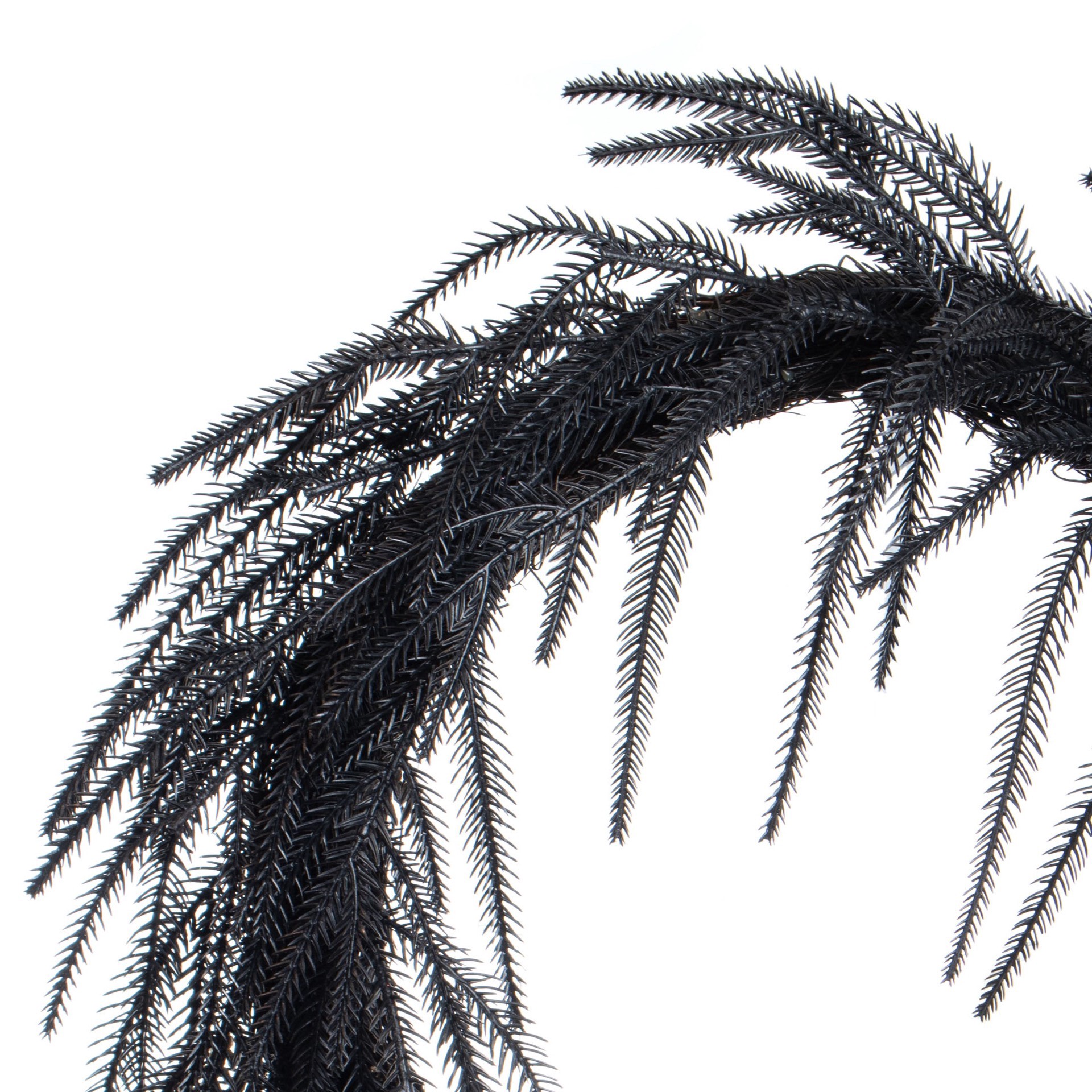 slide 3 of 3, 24" Norfolk Pine Wreath By Ashland, 24 in