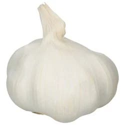 Organic Garlic