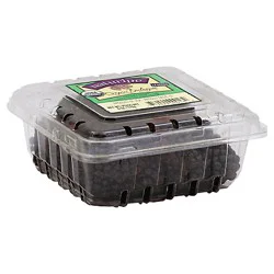 Wish Farms Organic Blackberries - 6 oz