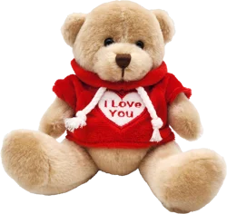 Holiday Home Brown Bear With Red Hoodie Plush